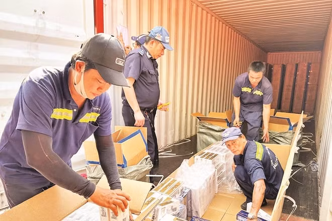 Lực lượng Hải quan khu vực II kiểm tra phát hiện thuốc lá lậu tại cảng Cát Lái, Thành phố Hồ Chí Minh.