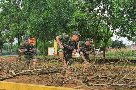 Sư đoàn 325 luôn coi trọng tổ chức huấn luyện theo phương châm “Cơ bản, thiết thực, vững chắc”. 