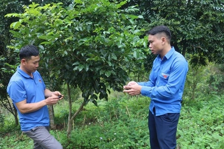 Đoàn viên thanh niên xã Nà Tấu về cơ sở tuyên truyền đến nhân dân lợi ích bảo vệ rừng để hưởng lợi từ dịch vụ môi trường rừng.