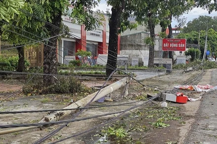 Cột điện cùng dây dẫn điện ở phường Nghi Sơn, tỉnh Thanh Hóa bị gãy, đổ.