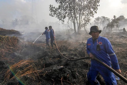 Tình trạng cháy rừng tại Indonesia vẫn diễn biến phức tạp. (Ảnh: THX/TTXVN)