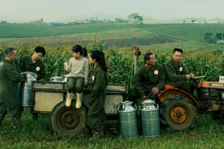 Giữa lớp sương mờ bảng lảng, cao nguyên Mộc Châu hiện lên như bản hòa ca thiên nhiên, nơi con người và đất trời cùng gìn giữ di sản gần 70 năm nghề sữa.