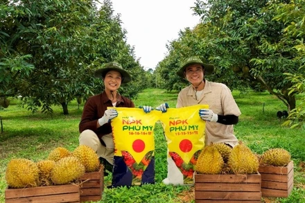 NPK Phú Mỹ ngày càng được cải tiến, hoàn thiện đáp ứng nhu cầu đa dạng của bà con nông dân.