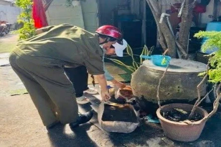 Phát động chiến dịch tổng vệ sinh môi trường, diệt lăng quăng, loại bỏ vật chứa nước trên địa bàn thành phố.