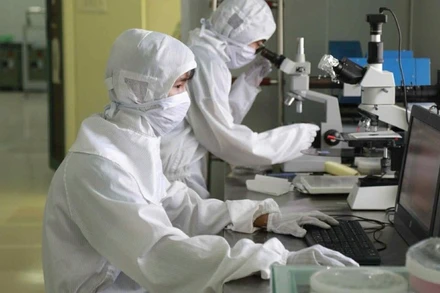 Sinh viên tại phòng thí nghiệm Vật lý Trường đại học Khoa học tự nhiên. (Đại học Quốc gia Hà Nội)