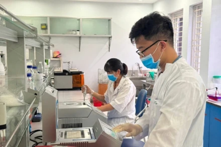 Nghiên cứu chọn tạo giống tại Viện Cây lương thực và Cây thực phẩm. (Ảnh HÀ LINH)