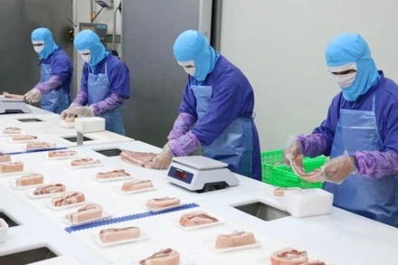 Dây chuyền pha lóc thịt lợn tại nhà máy giết mổ chế biến thịt của Công ty Cổ phần Chăn nuôi C.P Việt Nam ( KCN Phú Nghĩa, Hà Nội).