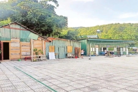 Cán bộ xã Nhôn Mai, tỉnh Nghệ An dựng các nhà tạm để ở.