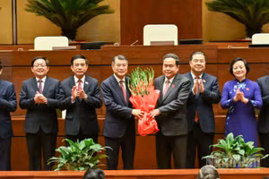 [Infographic] Thủ tướng và các Phó Thủ tướng Chính phủ nhiệm kỳ 2026-2031