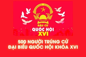 [Infographic] 500 người trúng cử đại biểu Quốc hội khóa XVI