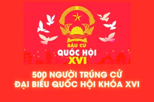 [Infographic] 500 người trúng cử đại biểu Quốc hội khóa XVI