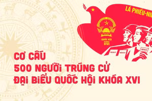 [Infographic] Cơ cấu 500 người trúng cử đại biểu Quốc hội khóa XVI