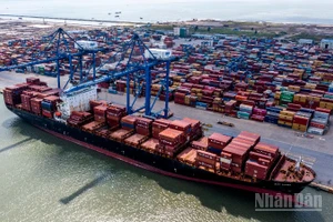 Tàu hàng bốc xếp hàng hóa tại cảng Hải Phòng. (Ảnh minh họa: THÀNH ĐẠT)