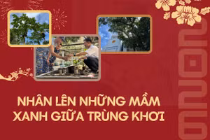 Nhân lên những mầm xanh giữa trùng khơi