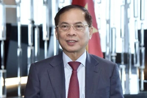 Phó Thủ tướng Chính phủ, Bộ trưởng Ngoại giao Bùi Thanh Sơn. (Ảnh: Bộ Ngoại giao)