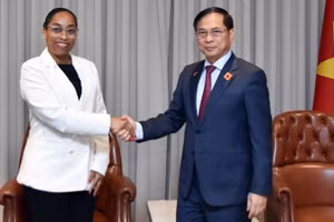 Phó Thủ tướng Chính phủ, Bộ trưởng Ngoại giao Bùi Thanh Sơn làm việc với lãnh đạo doanh nghiệp Angola. (Ảnh: Báo Thế giới & Việt Nam)