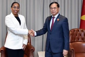 Phó Thủ tướng Chính phủ, Bộ trưởng Ngoại giao Bùi Thanh Sơn làm việc với lãnh đạo doanh nghiệp Angola. (Ảnh: Báo Thế giới & Việt Nam)