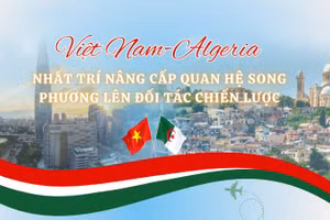 [Infographic] Việt Nam-Algeria nâng cấp quan hệ song phương lên Đối tác chiến lược
