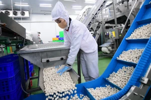 Người lao động tại Công ty LC Foods. (Ảnh nhandan.vn)