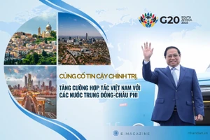 Củng cố tin cậy chính trị, tăng cường hợp tác Việt Nam với các nước Trung Đông-châu Phi