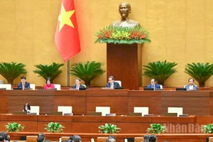 Quang cảnh phiên họp của Quốc hội sáng 11/12. (Ảnh: DUY LINH)