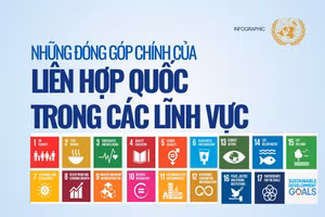 [Infographic] Liên hợp quốc: 80 năm kiến tạo hòa bình, phát triển và hợp tác toàn cầu