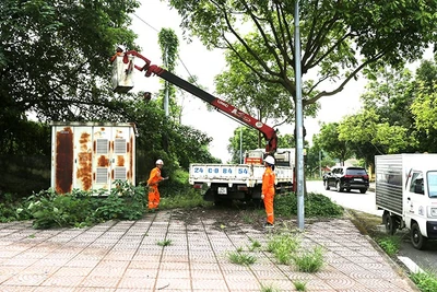 Việc bảo đảm nguồn điện liên tục cho các điểm được Công ty Điện lực Lào Cai đặt mức độ ưu tiên đặc biệt.