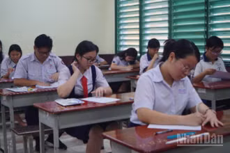 (Ảnh: THẾ ANH-CAO TÂN)