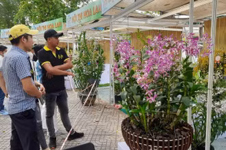 Khách tham quan Festival hoa lan Thành phố Hồ Chí Minh.