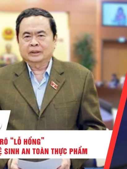 [Video] Thời sự 24h ngày 12/1/2026: Phiên họp thứ 53 Ủy ban Thường vụ Quốc hội: Cần làm rõ “lỗ hổng” trong quản lý vệ sinh an toàn thực phẩm