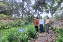 Giới thiệu vườn cây thuốc nam trong khuôn viên Đền Thánh Nguyễn ở xã Tiến Thắng, huyện Gia Viễn (Ninh Bình).