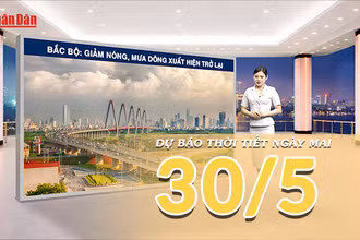 [Video] Dự báo thời tiết đêm nay và ngày mai ngày 30/5/2026: Mưa dông trở lại miền Bắc, oi nóng suy giảm tại miền Trung