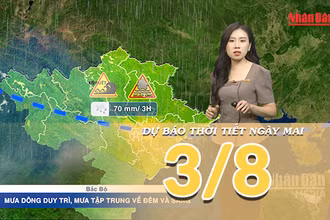 [Video] Dự báo thời tiết đêm nay và ngày mai ngày 3/8/2026: Bắc Bộ tiếp tục mưa rào, Trung Bộ và Nam Bộ gia tăng nắng nóng