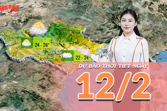 [Video] Dự báo thời tiết đêm nay và ngày mai 12/2/2026: Không khí lạnh suy yếu, nắng xuất hiện trên cả nước