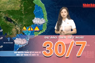 [Video] Dự báo thời tiết ngày 30/7/2026: Mưa dông tiếp diễn trên nhiều khu vực, có nơi mưa rất to 