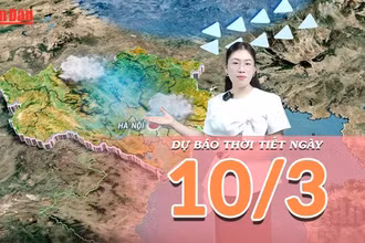 [Video] Dự báo thời tiết ngày 10/3/2026: Cảnh báo mưa to tại Trung Bộ và biển động mạnh