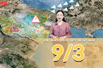[Video] Dự báo thời tiết đêm nay và ngày mai 9/3/2026: Không khí lạnh gây mưa diện rộng ở Bắc Bộ, Nam Bộ nắng ráo