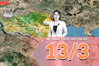 [Video] Dự báo thời tiết ngày 13/3/2026: Không khí lạnh gây mưa rét tại Trung Bộ, cảnh báo biển động mạnh 
