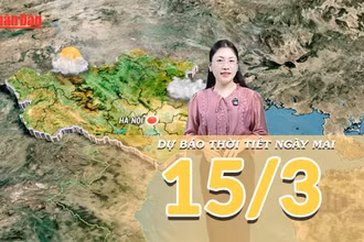 [Video] Dự báo thời tiết đêm nay và ngày mai 15/3/2026: Miền Bắc đón mưa phùn sương mù, Nam Bộ nắng nóng diện rộng