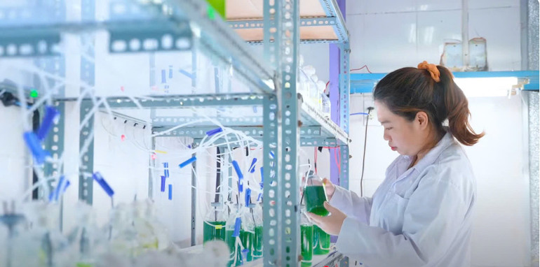 다낭 하이테크 파크 및 산업단지 관리위원회에서 하이테크 기업 육성 활동을 진행합니다. z6965280575968-8a444ba16f354b45b6d54a10b77714b1.jpg