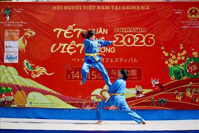 Một hoạt động biểu diễn võ cổ truyền tại lễ hội Xuân quê hương. (Ảnh: Phạm Tuân/PV TTXVN tại Nhật Bản)