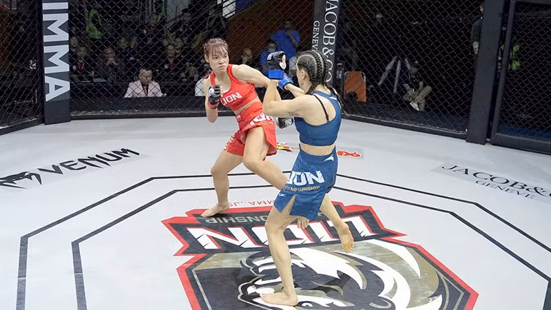 Giải LION Championship thu hút đông đảo khán giả quan tâm. Ảnh | VMMAF
