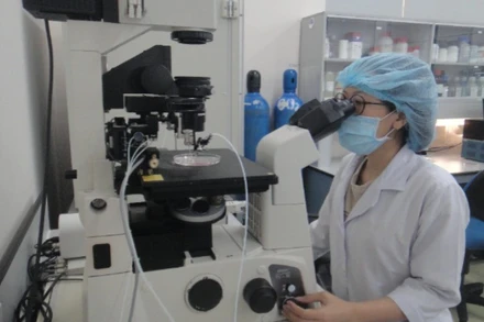 Nghiên cứu khoa học tại Đại học Quốc gia Thành phố Hồ Chí Minh.