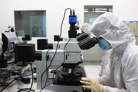 Hoạt động nghiên cứu khoa học tại Khu Công nghệ Thành phố Hồ Chí Minh.