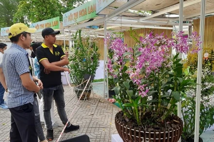 Khách tham quan Festival hoa lan Thành phố Hồ Chí Minh.