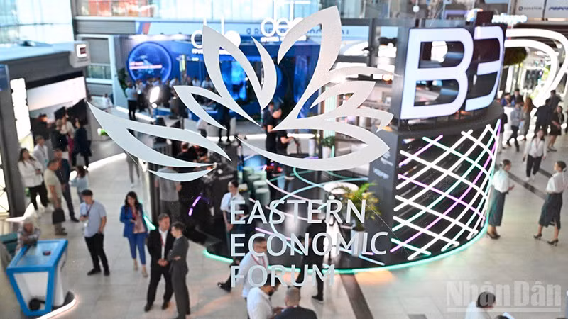 EEF-2025 dự kiến diễn ra từ ngày 3-6/9 tại khuôn viên Trường đại học Tổng hợp Liên bang Viễn Đông ở thành phố Vladivostok. (Ảnh: Ban tổ chức EEF-2025)