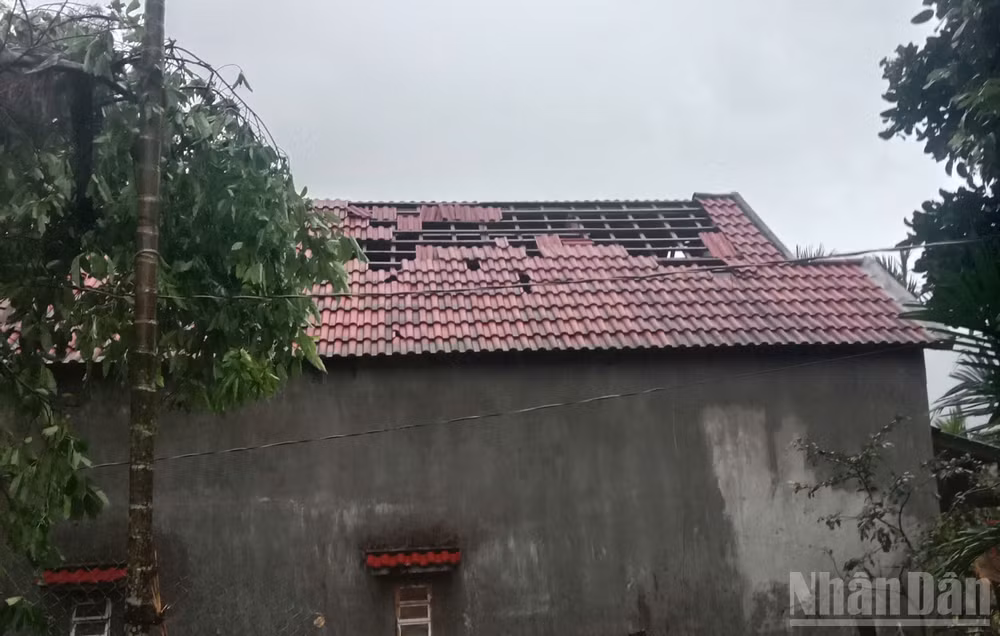Trận lốc xoáy với cường độ mạnh bất ngờ quét qua khiến 116 ngôi nhà của người dân ở xã Ba Vì (Quảng Ngãi) bị hư hỏng.