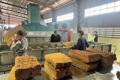 Lô sản phẩm cao-su đầu tiên mang thương hiệu SVR10 và SVR20 được sản xuất tại Nhà máy chế biến mủ cao-su Điện Biên.