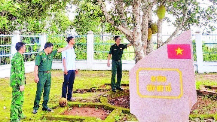 Trải qua nhiều năm tháng, cây mít vẫn luôn xanh tươi. tay-nguyen-11-7-pdf-18h55-8065-4432.jpg