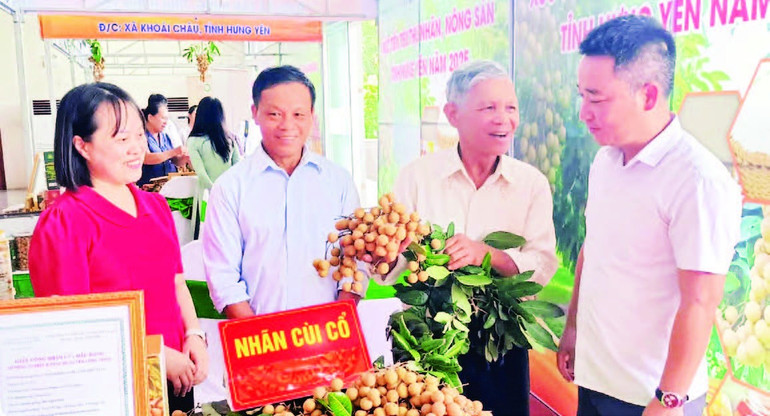 Nhãn cùi cổ, một đặc sản quý hiếm được nhiều khách hàng ưa chuộng. sh-3-9-moi-18h-1472.jpg